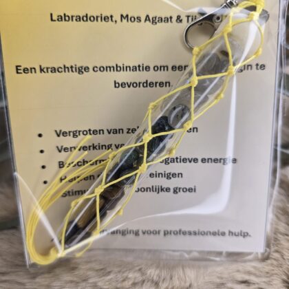 Een nieuw begin