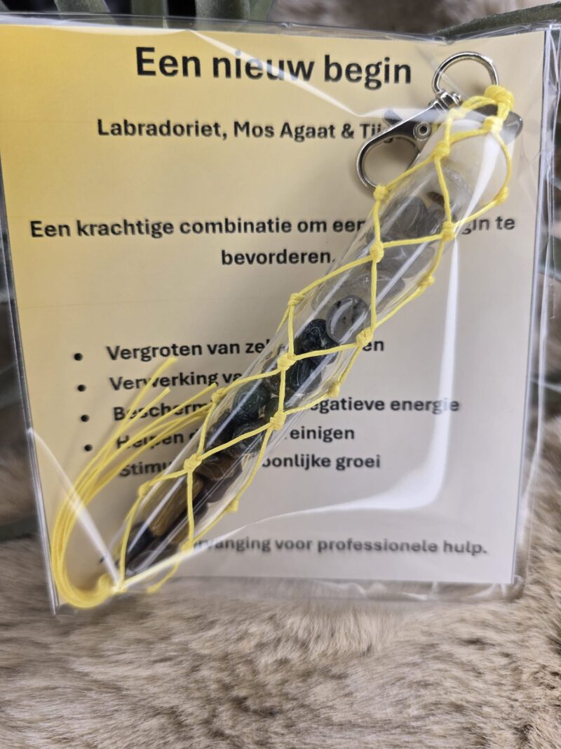 Een nieuw begin