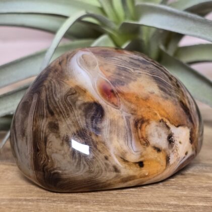 Madagaskar Agaat (Sardonyx)