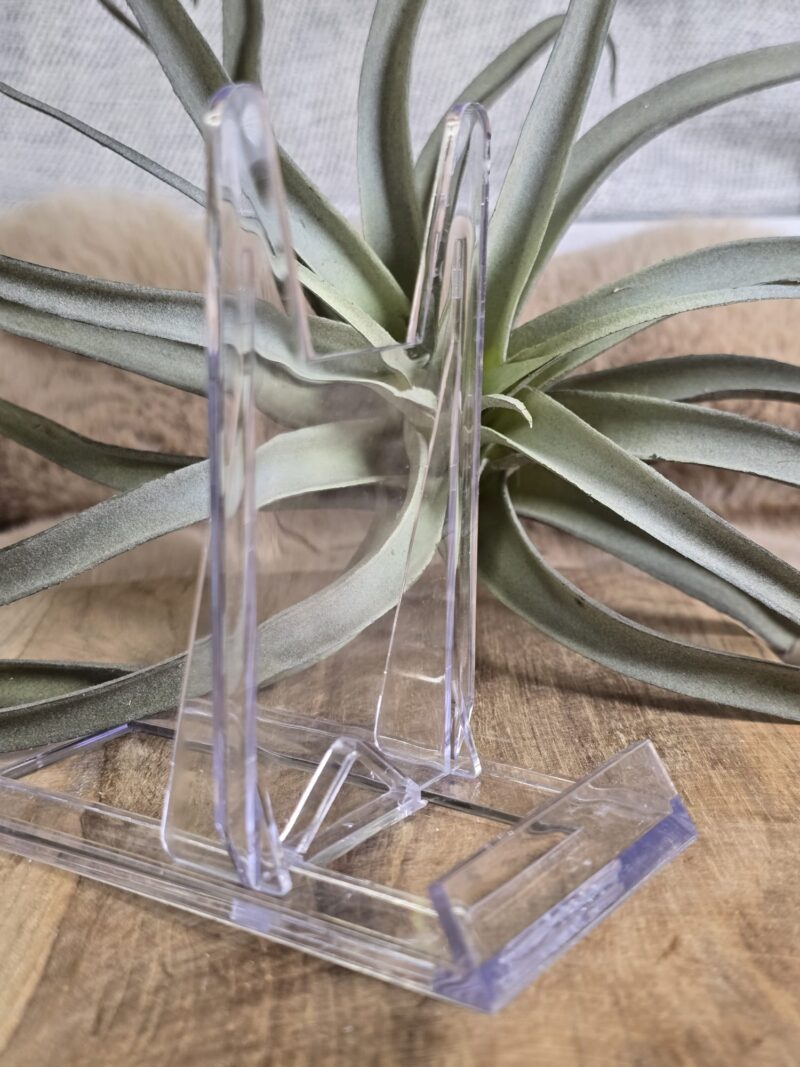 Acryl Display Standaard Groot