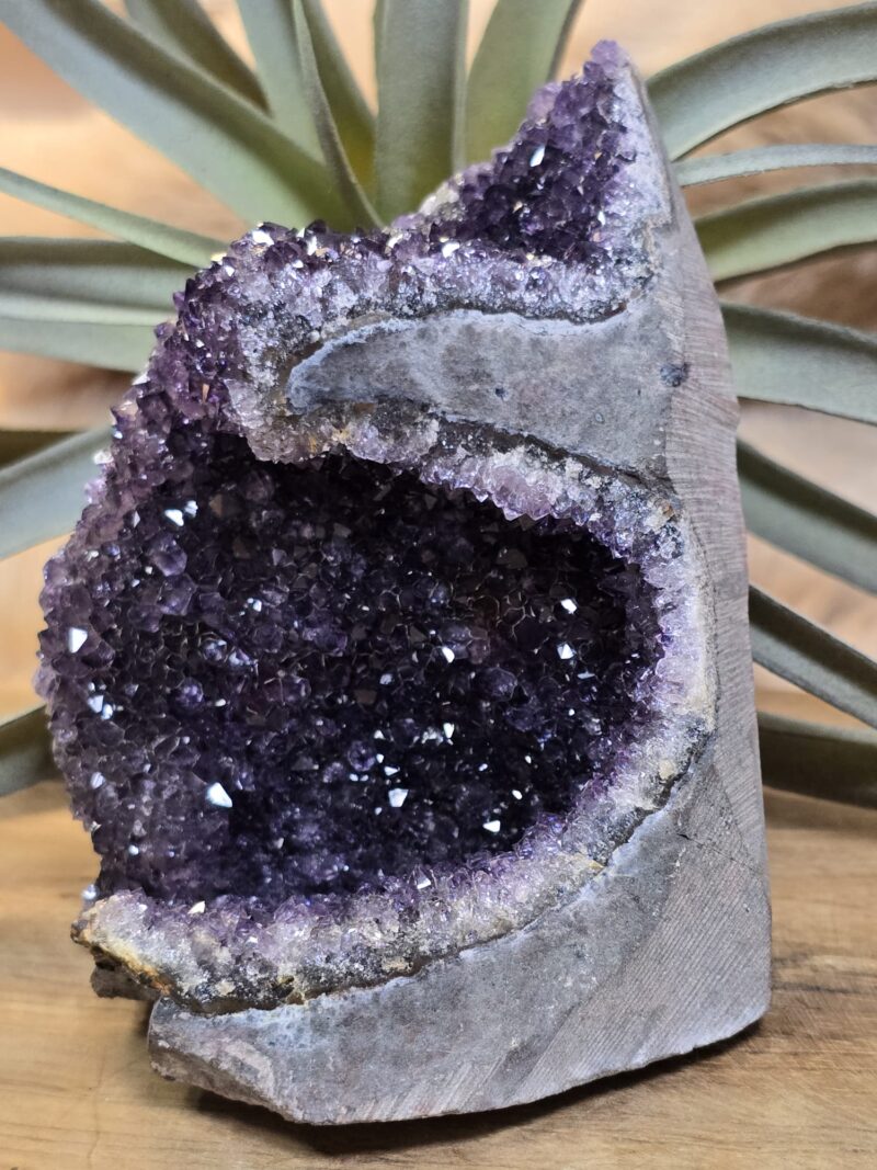 Galaxy Amethist