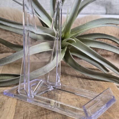 Acryl Display Standaard Groot