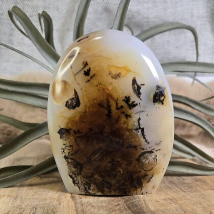 Dendriet Agaat