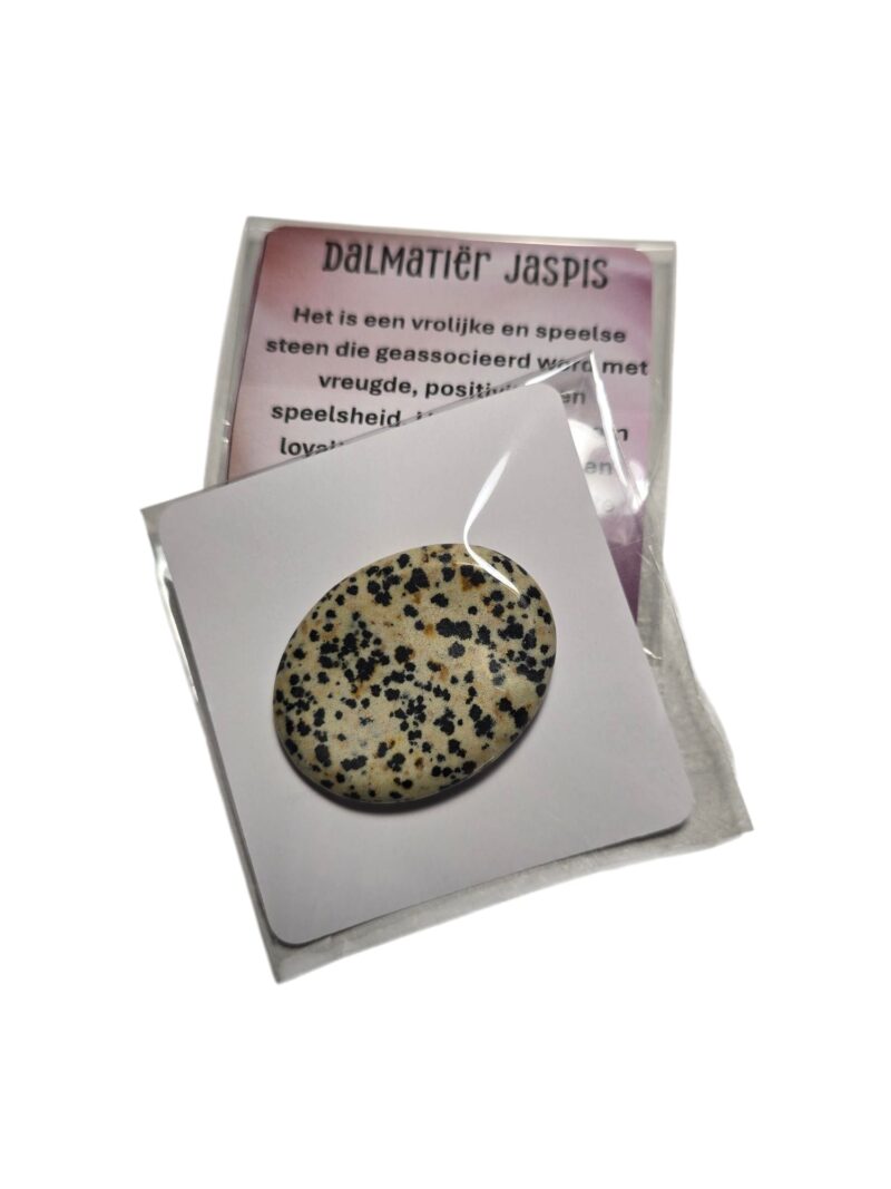 Worry stone Dalmatiër Jaspis