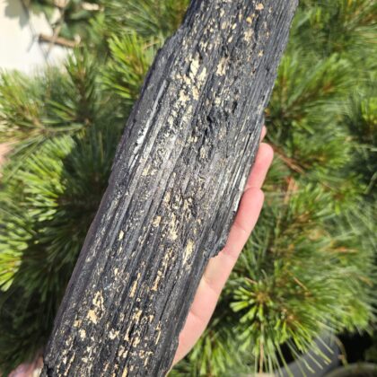 Zwarte Toermelijn Ruw