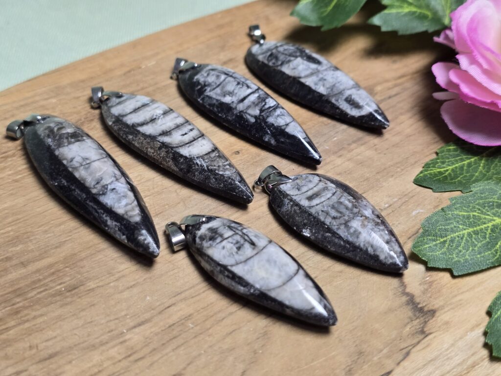 Orthoceras ketting hanger