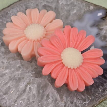 Waxmelt XL Freshly Baked Apple Pie 2Stuks