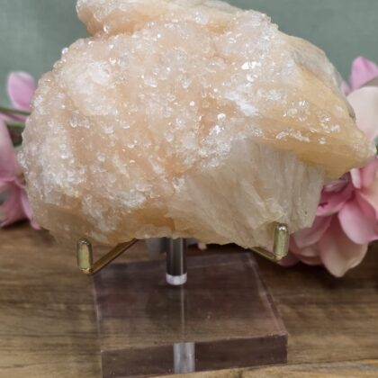 Stilbiet op luxe standaard