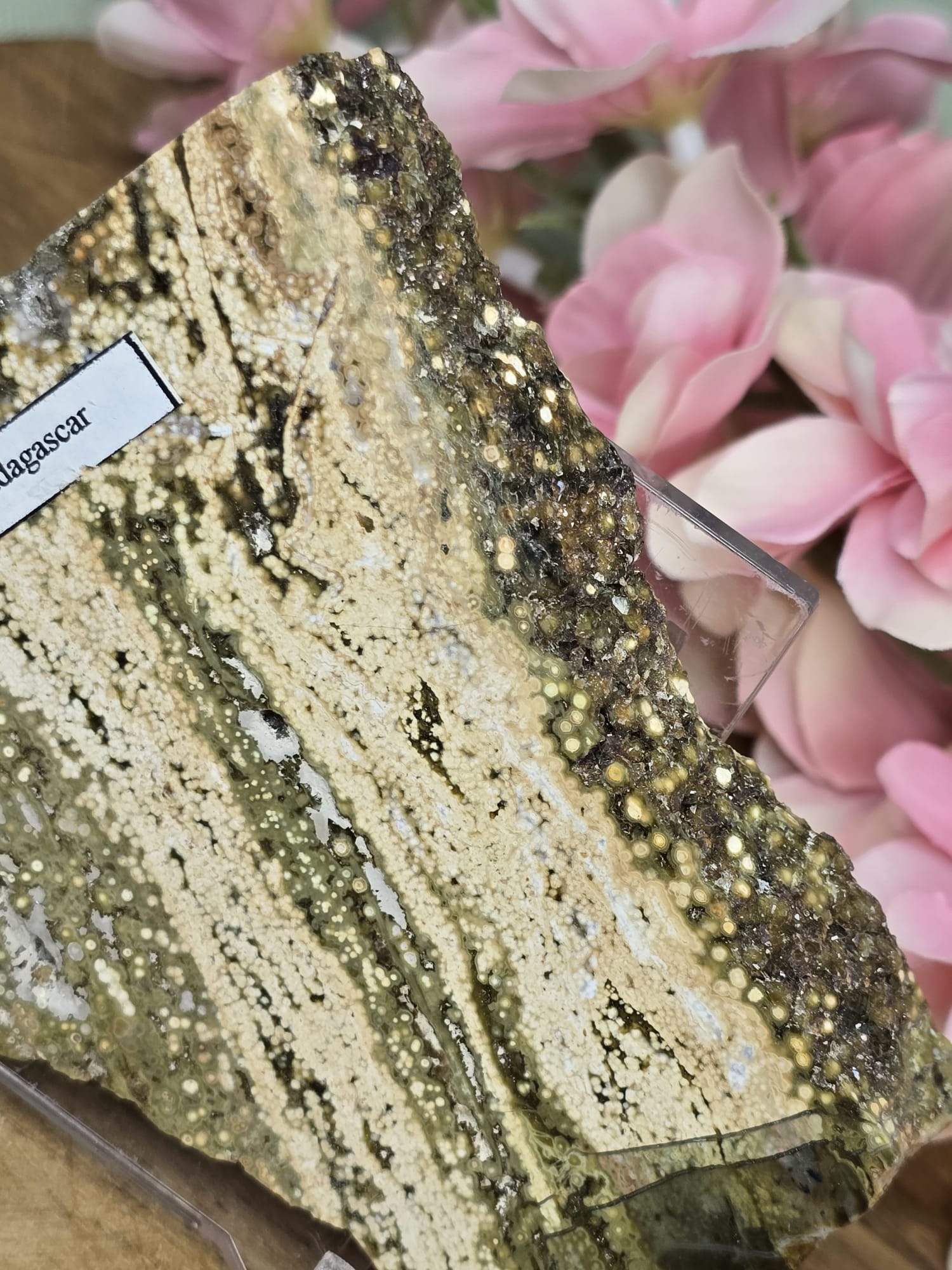 Oceaan jaspis slab