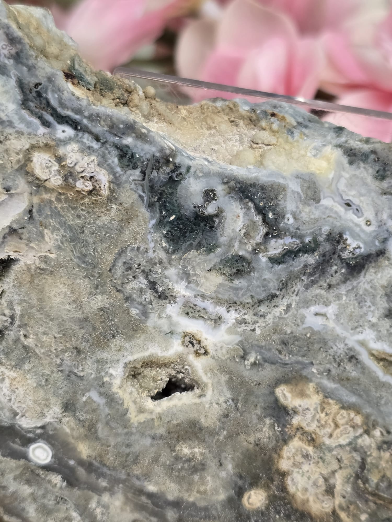 Oceaan jaspis slab