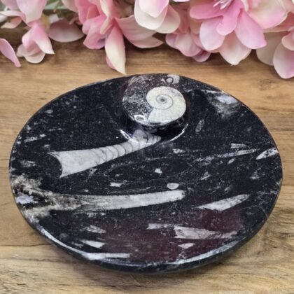 Orthoseras schaaltje rond