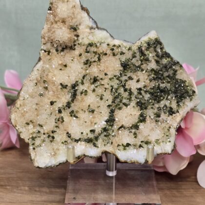 Epidoot op kwarts op luxe standaard.