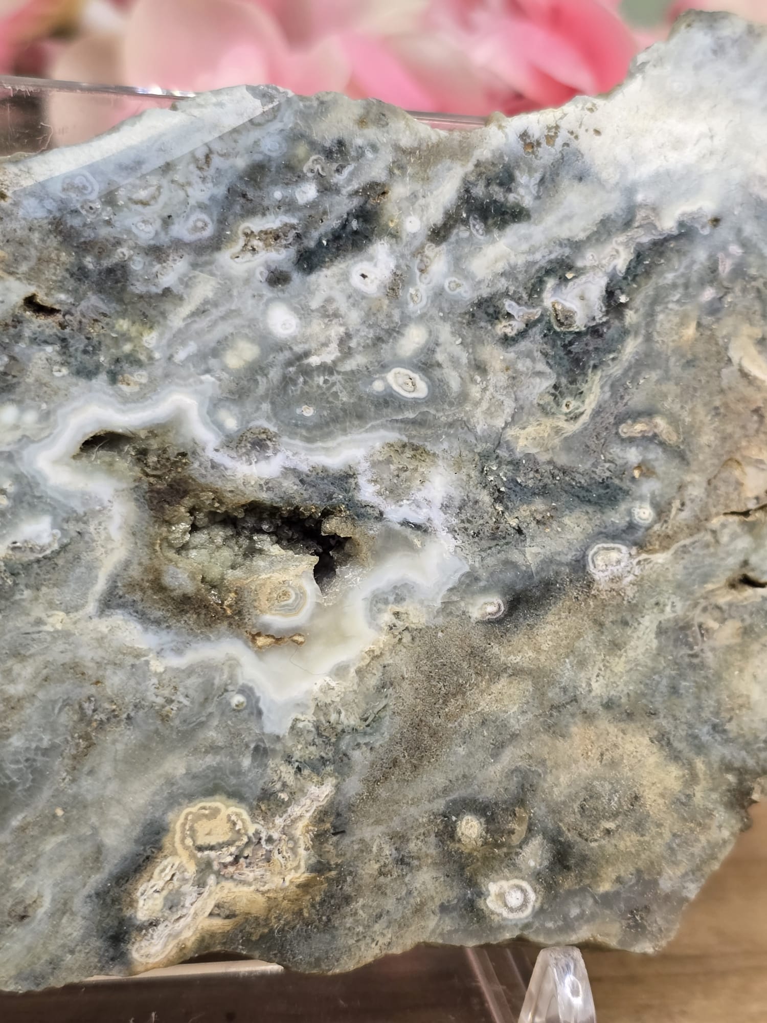 Oceaan jaspis slab