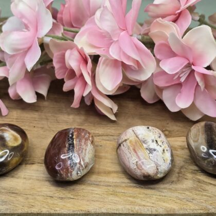 Handsteen Versteend hout