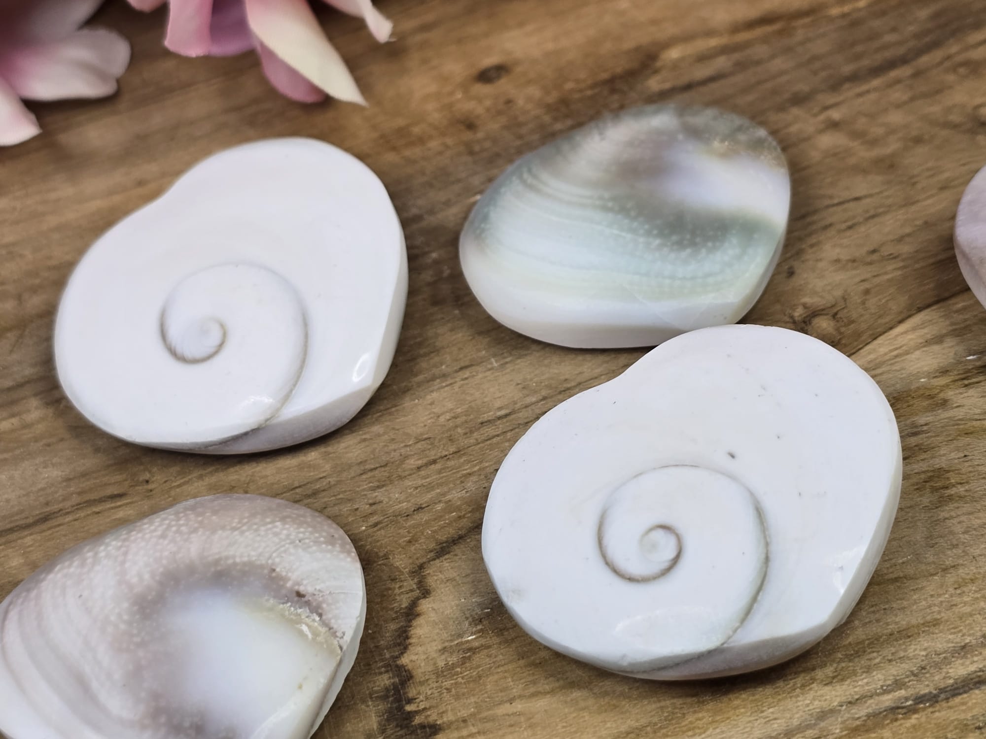 Shiva Eye Mystery Hearts
