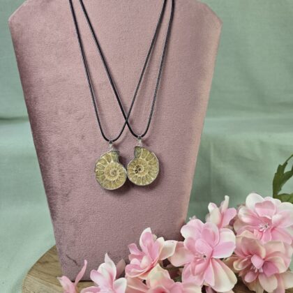 Ammoniet ketting setje (groot)(3)
