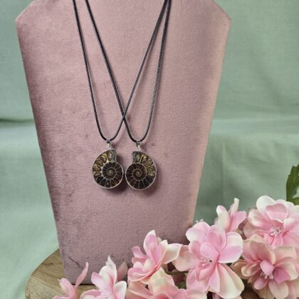 Ammoniet ketting setje (groot)(3)