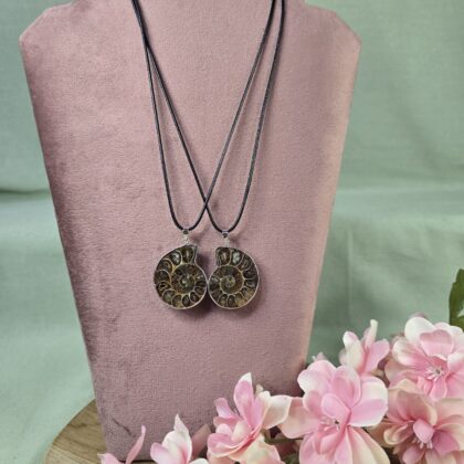 Ammoniet ketting setje (groot)(3)