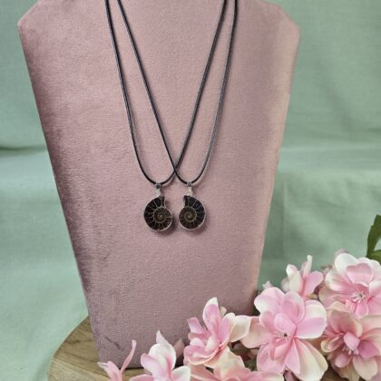Ammoniet ketting setje (klein)(nr3)