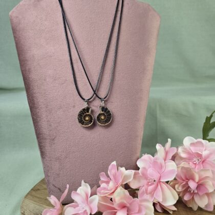 Ammoniet ketting setje (klein)(nr3)