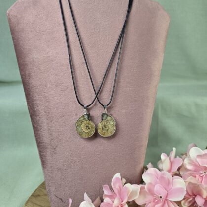 Ammoniet ketting setje (klein)(nr3)
