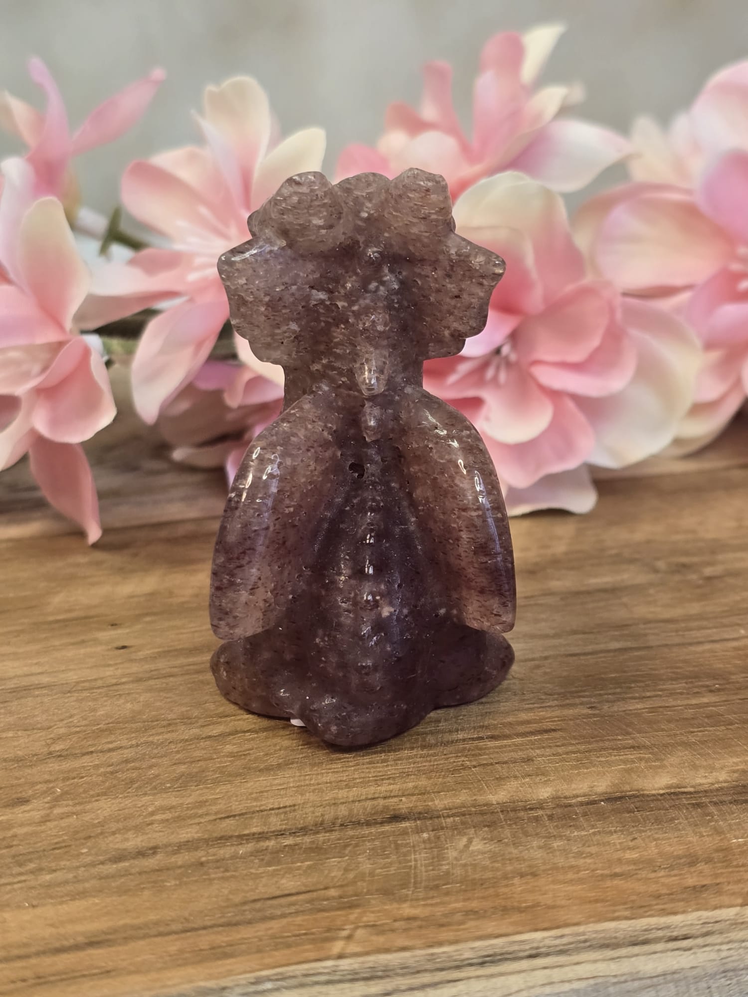 Aardbeienkwarts Draak (Kleine Chip, Extra Korting)