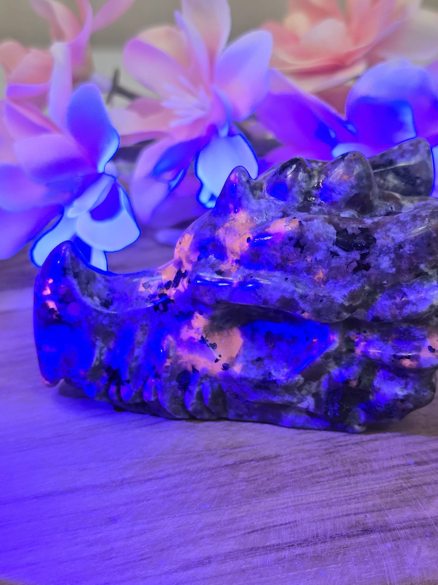 Yooperlight Drakenschedel (met UV reactie)